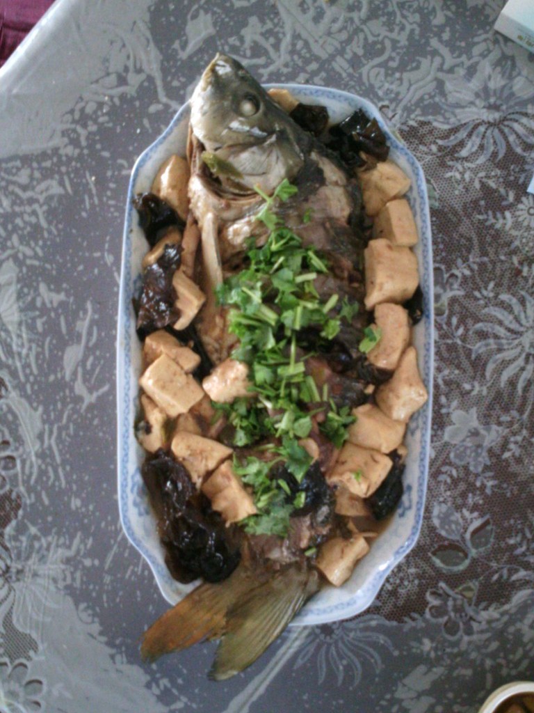 鲤鱼炖豆腐
