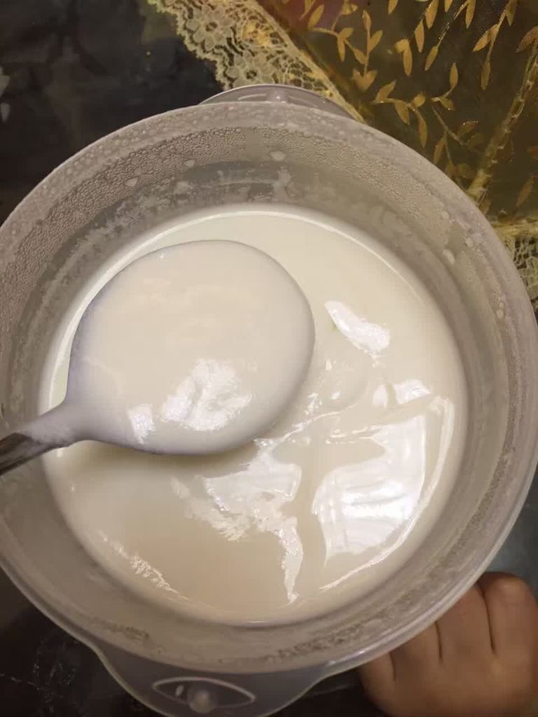 美味自制好酸奶