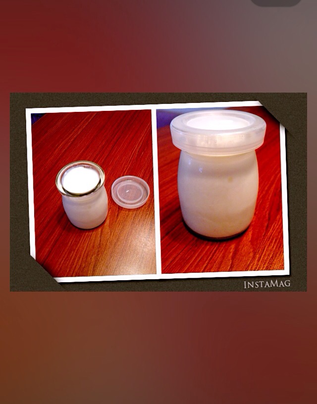 自制酸奶（无酸奶机）