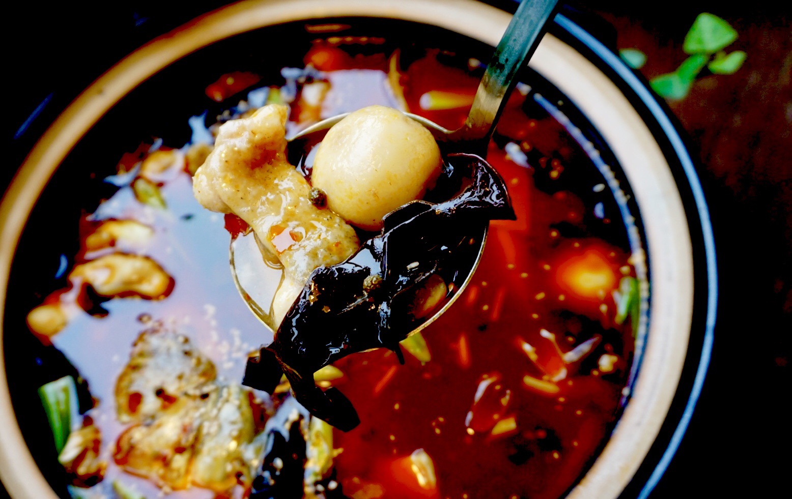 泡椒芋儿鲢鱼锅