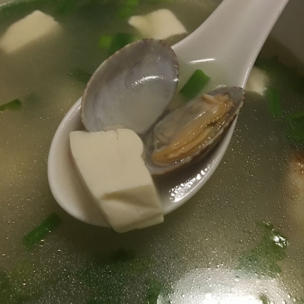 【蓓妈美食】豆腐花蛤汤