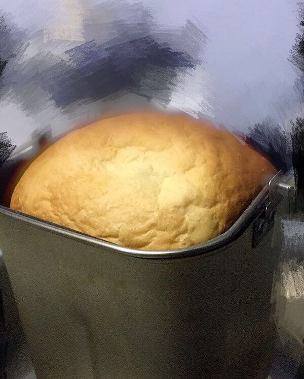 美的面包机 手撕面包 营养面包 早餐 椰蓉无糖添加面包