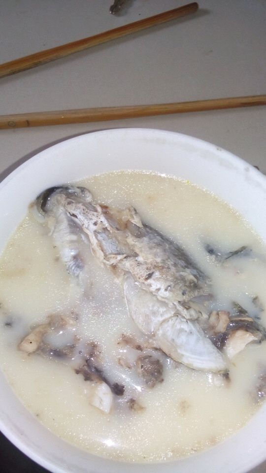 黑鱼汤