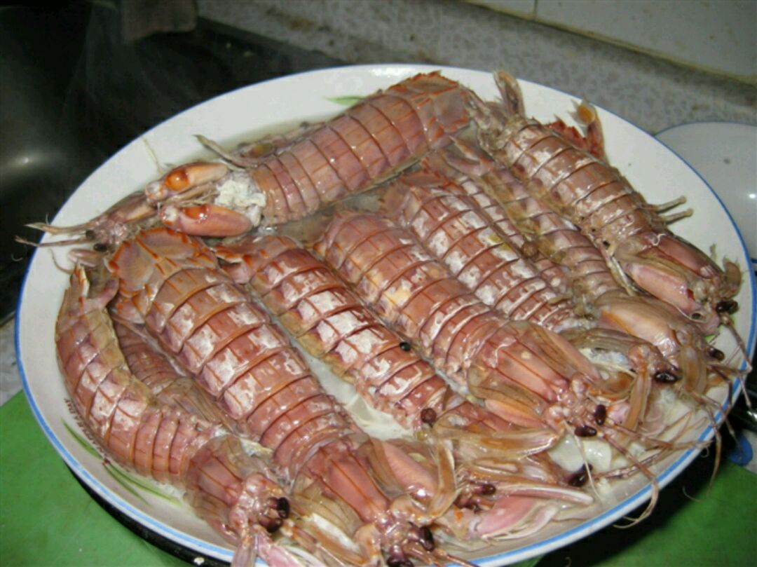皮皮虾