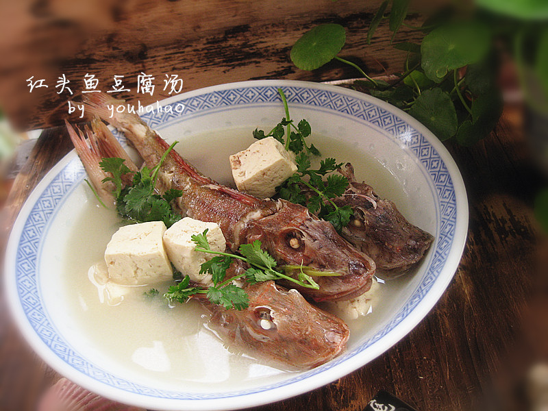 红头鱼豆腐汤--冬季暖身