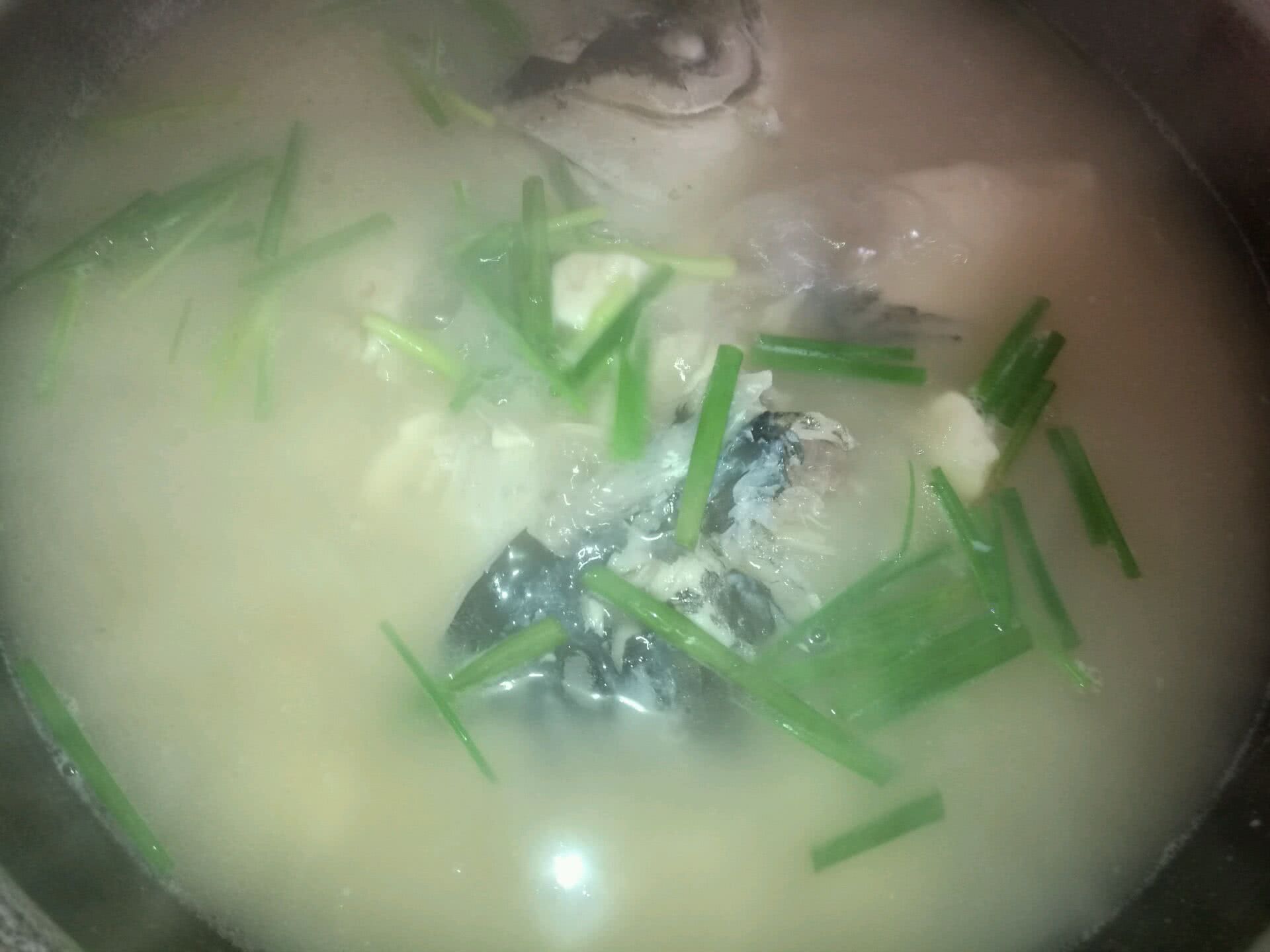 营养与美味并存的奶白色鱼头豆腐汤（花鲢鱼）
