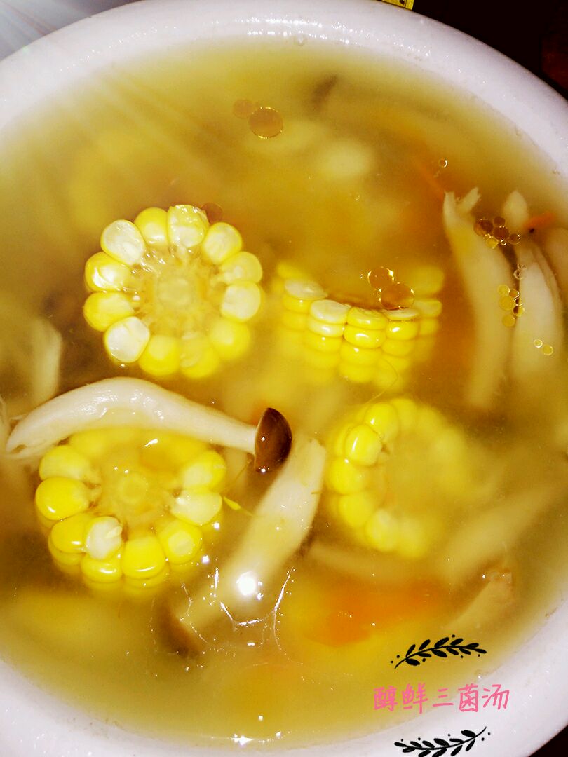醇香三菌汤