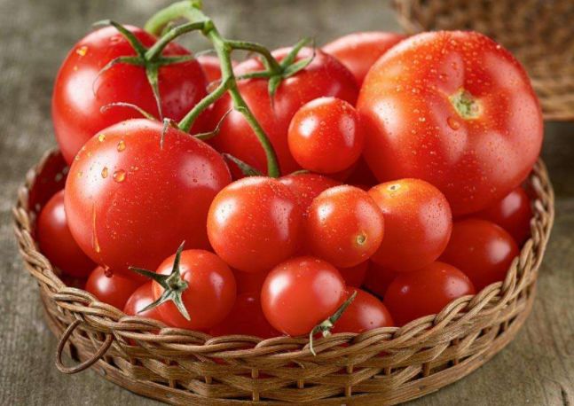 吃西红柿可以减肥吗？西红柿怎么做好吃？