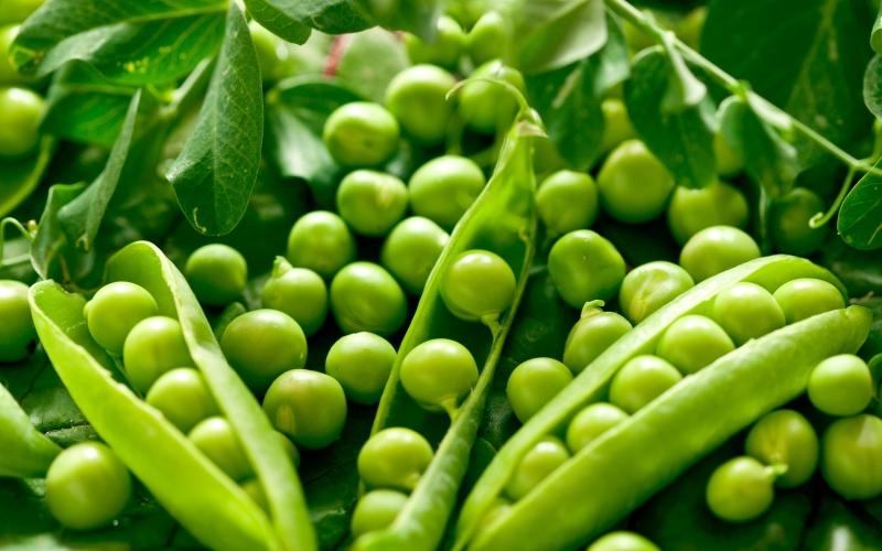 豌豆的功效与作用具体有哪些？