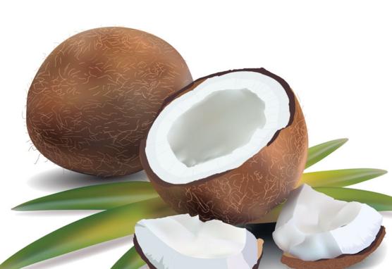 椰子怎么吃法？椰子的正确吃法介绍