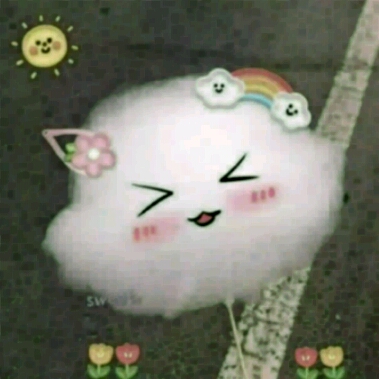 王仙猪